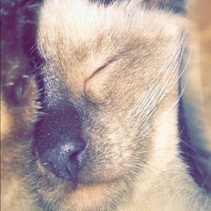 Meet your Posher, Kaydyn